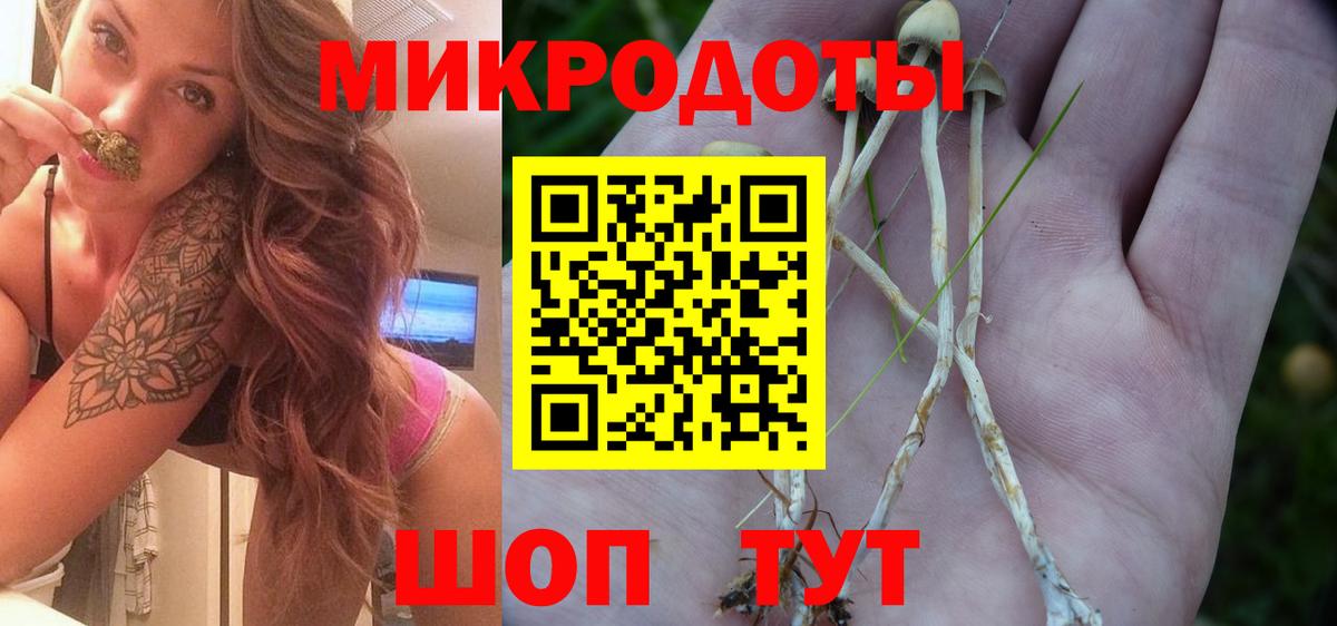 наркошоп  Вход с VPN  Советский  Псилоцибиновые грибы GOLDEN TEACHER  Псилоцибиновые грибы Psilocybine cubensis 